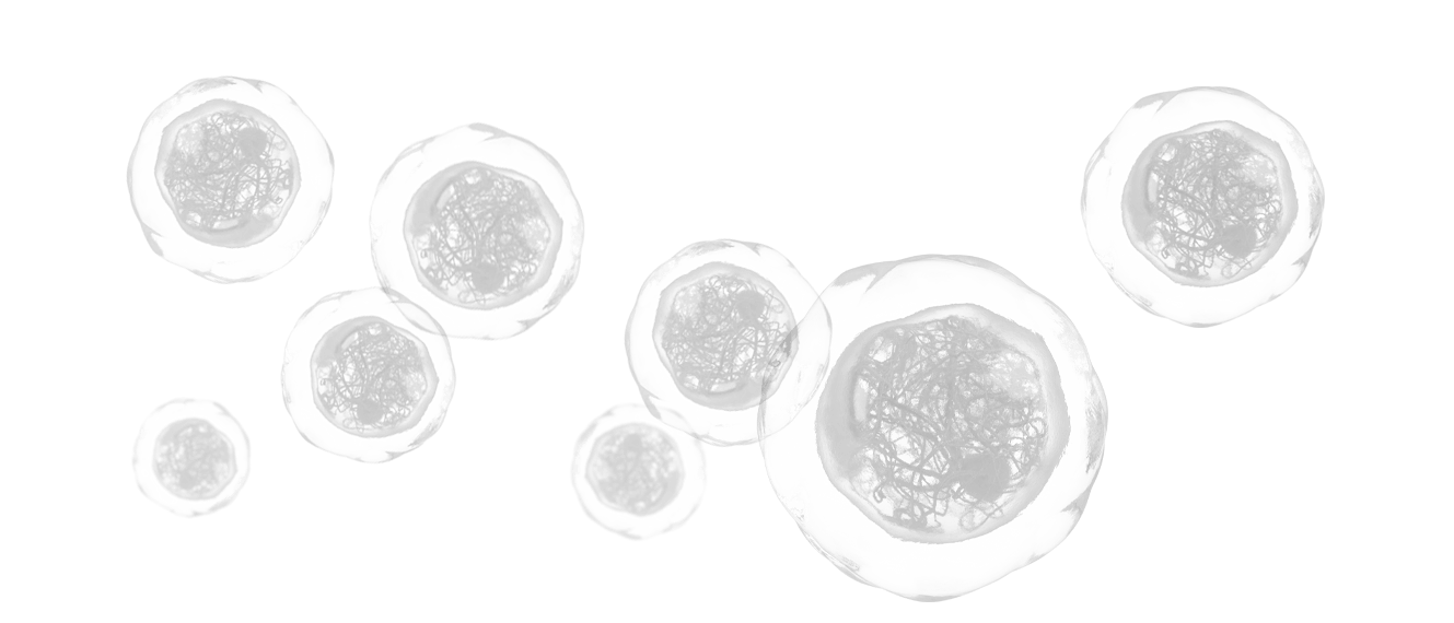 A cluster of hematopoietic stem and progenitor cells (HSPCs)